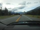 DSCN0116