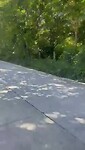 Motorrieje in de Filipijnen