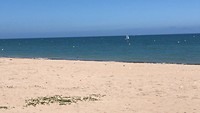 Lion sur Mer