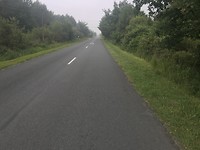 Rechte weg met bomen deel 1