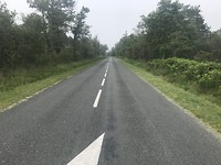 Rechte weg met bomen deel 2