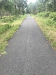 Recht fietspad door bomen