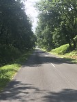 Rechte weg met bomen deel 3