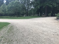 Eenzaam in het parkje wezen eten