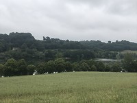 Meertje tussen de bergen