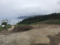 Door de bossen langs zee fietsen❤️