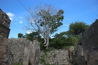 Pompei (2)