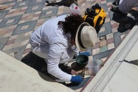 Pompei (6)