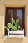 Verliefd op de terrasjes in Marzamemi #3