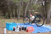 Nieuw project - Renée's fiets