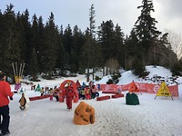 Jardin de la neige