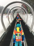 Pinguïns op 't 'Magic Carpet'
