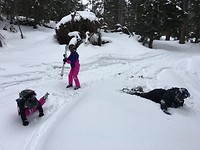Hoe test je het skiniveau van de kids