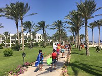 Iedere ochtend de wandeling naar 'ons' strand