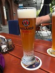 Shandy