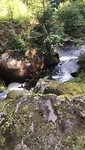 Wasserfalle Triberg -1