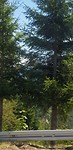 20190809_114851