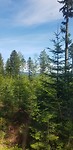 20190809_114533