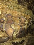 IMG-20190813-WA0021