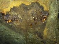 IMG-20190813-WA0020