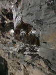 IMG-20190813-WA0059