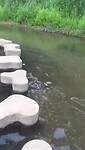 VID-20200725-WA0003