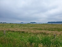 20210605_125245