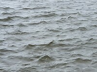 20210605_124440