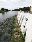 IMG-20210723-WA0019