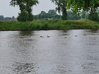 20210724_165601