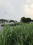 IMG-20210724-WA0031