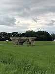 IMG-20210803-WA0006