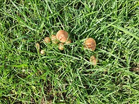 20210808_094911