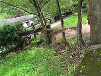 IMG-20210808-WA0021