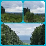CollageMaker_20210808_143155896