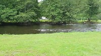 VID-20210808-WA0015