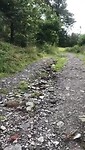 VID-20210809-WA0001