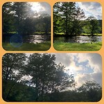 CollageMaker_20210809_183507856