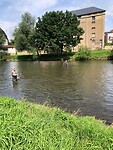 IMG-20210811-WA0006