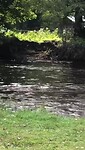 VID-20210809-WA0029