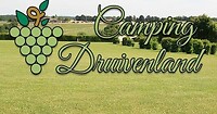 FB_IMG_1659606584479