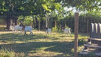 IMG-20220809-WA0003