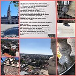 InCollage_20220809_174020065
