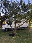 IMG-20220809-WA0031