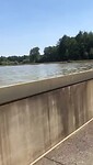 VID-20220811-WA0005