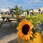 FB_IMG_1684577410793