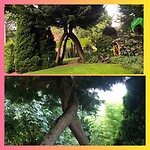 InCollage_20230805_170300037