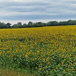 IMG_20230812_162614_974
