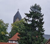 20230816_115050