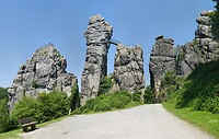 1000060509